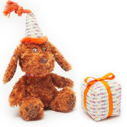 Pet London Happy Birthday Hundespielzeug – 2 Spielzeuge in 1 – Plüschhund und abnehmbares Geschenk – Feiern Sie den Geburtstag oder die Adoption des Hundes – weiches Geschenk für Hund oder Welpen mit von Pet London