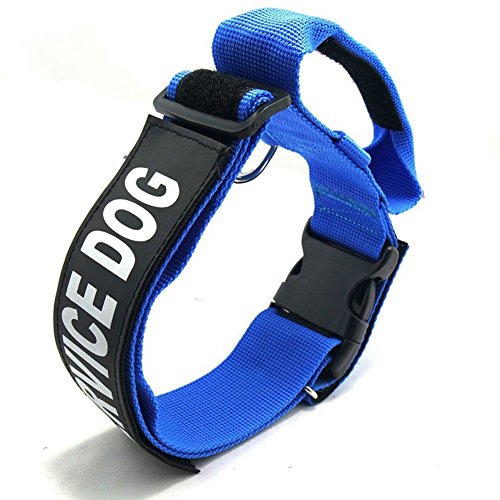 Pet Online Hundehalsband nylon verstellbare weiche, bequeme Tragen mit Griff Halsband, Blau, M: 3,8 * 40-56 cm von Pet Online