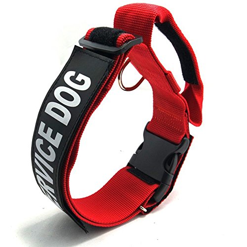 Pet Online Hundehalsband nylon verstellbare weiche, bequeme Tragen mit Griff Halsband, Rot, L: 5* 49-76 cm von Pet Online