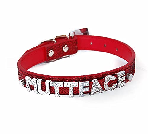 Pet Palace® Disco Dawg Hundehalsband, Leder, mit Glitzerbuchstaben, Größe L, Rot von Pet Palace