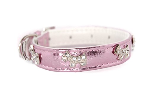 Pet Palace® Twinkly Terrier Hundehalsband, PU-Leder, mit blinkendem LED-Erkennungsmarke, Größe M, Rosa von Pet Palace