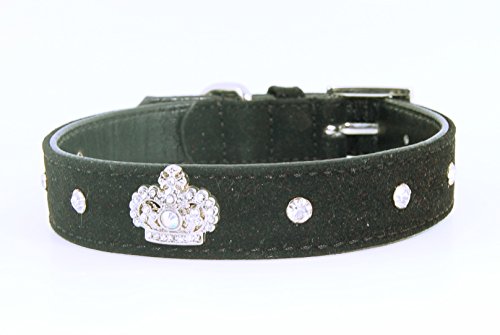 Pet Palace "Dynasty Hund" Wildleder Luxus Hund Puppy Halsband für Hunde von True Distinction von Pet Palace