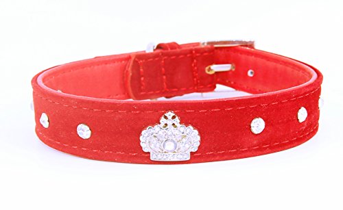 Pet Palace "Dynasty Hund" Wildleder Luxus Hund Puppy Halsband für Hunde von True Distinction von Pet Palace