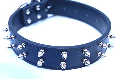 Pet Palace Tough Cookie II Hundehalsband mit Doppelspitzen von Pet Palace