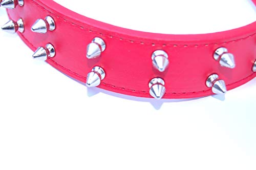 Pet Palace Tough Cookie II Hundehalsband mit Doppelspitzen von Pet Palace