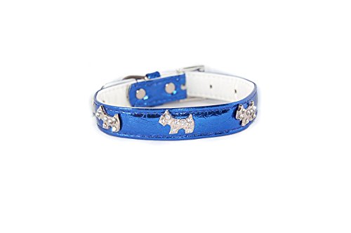 Pet Palace twinkly Terrier Luxus PU-Leder-Halsband für Welpen von Pet Palace