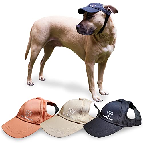 Pet Perfect Hundemützen,Hunde-Baseballkappe,Hundekappe erhältlich in S, M, L, XL,Verstellbarer Riemen Hüte für Hunde,Sonnenschutz Hüte für Hunde mit Ohrloch,Bequeme Hundemützen (Schwarz, Klein) von Pet Perfect