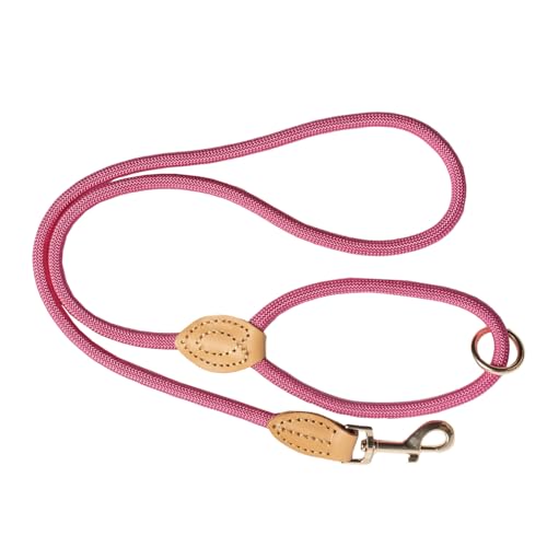 Elegante Hundeleine aus Nylon mit Lederdetails, goldfarbener Metallkarabiner, Rosa von Pet Peterson