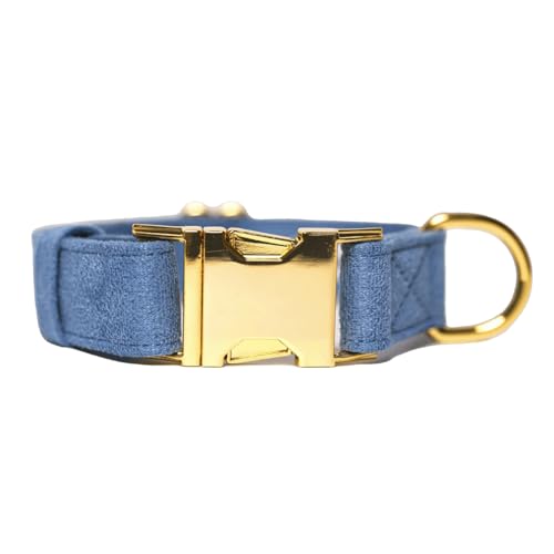 Halsband für kleine und große Hunde, weicher Stoff, Wildleder, verstärkte Nähte, elegante goldfarbene Schnalle (Hellblau, M) von Pet Peterson