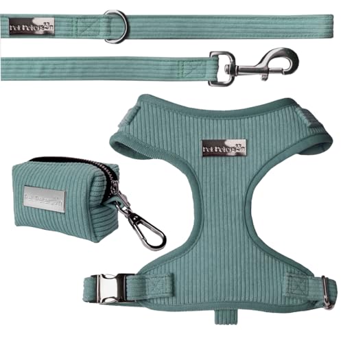 Hundegeschirr, verstellbar, für kleine Hunde, 3-teiliges Set (Mint, M) von Pet Peterson