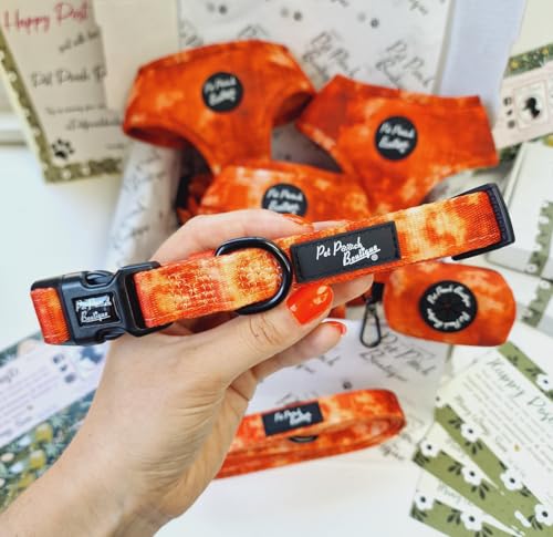 Orange Racer Hundehalsband, Größe XS von Pet Pooch Boutique