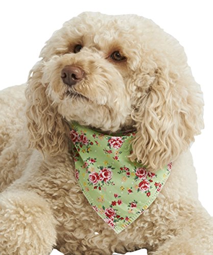 Pet Pooch Boutique Vintage Bandana für Hunde, Größe S/M, Grün von Caseeto