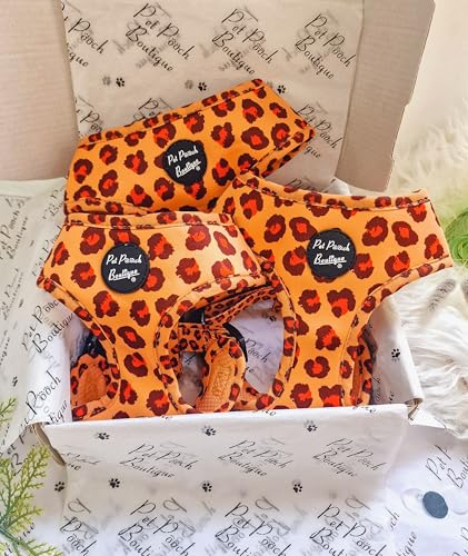 Spiced Honey Leopard Hundegeschirr M von Pet Pooch Boutique