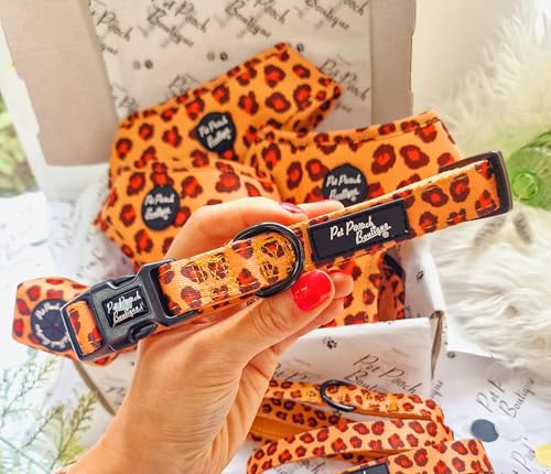 Spiced Honey Leopard Hundehalsband, Größe M von Pet Pooch Boutique