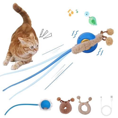 Pet Prime Interaktives Katzenball Spielzeug, Mit Vogelstimmenmusik, Katzenspielzeug Elektrisch mit USB-C Aufladbar, Katzen Spielzeug Ball mit LED-Licht DREI Arbeitsmodi von Pet Prime