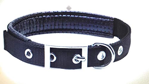 Pettribe Gepolstertes Halsband schwarz 2 cm von Pet Prime