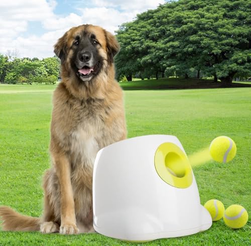 pet prime Automatischer Ballwerfer für Hunde, interaktives Apportierspielzeug, interaktives Ballwerfer, 3 x 6,3 cm Tennisbälle im Lieferumfang enthalten, ideal für mittelgroße und große Hunde von Pet Prime