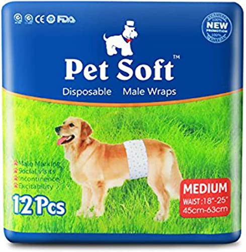 Pet Soft Hundewindel für Rüden, Einweg-Windel für Rüden, Rüdenwindeln, Super saugfähig und auslaufsicher (M, 12.00) von Pet Soft