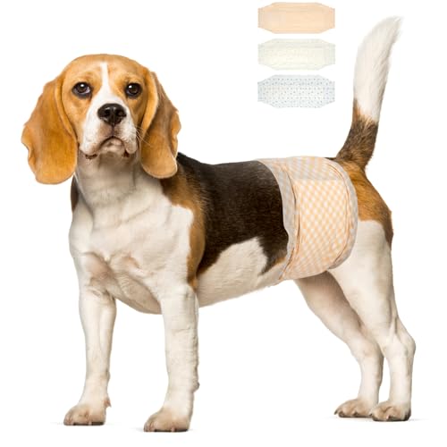 Pet Soft Hundewindeln - Einwegwindeln für Hunde Hundewindeln, superabsorbierende Hundewindeln für Hunde & Katzen Harninkontinenz Medium 72count (M (18'-25')) von Pet Soft