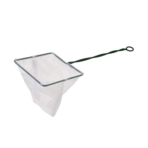 Pet Ting Aquariumnetz 15 x 12 cm für tropisches Kaltwasser von Pet Ting