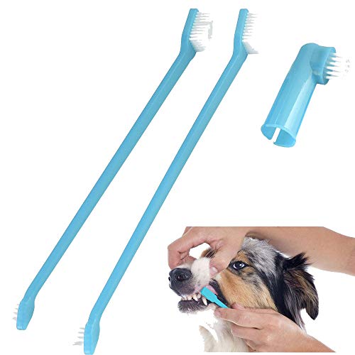 Pet Teeth Care Zahnbürste für Welpen, Hunde und Katzen, 22 cm lang von Pet Touch