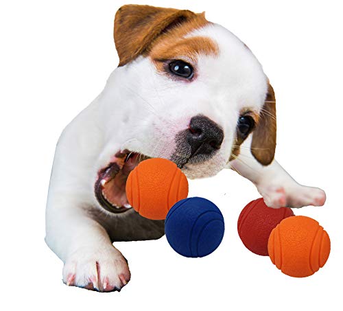 Pet Touch Hundespielzeug, fester Kern, Gummiball, hohe Sprungkraft, unzerstörbar, praktisch robust, interaktives Hundespielzeug, 4 Bälle (Blau + Rot + 2 Orange), 4 Stück von Pet Touch