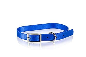 Pet Tribe Halsband aus Nylon, verstellbar, Blau, Breite 1 cm, Länge verstellbar bis 32 cm von Pet Tribe