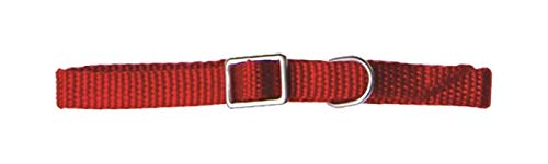 Pet Tribe Halsband aus Nylon, verstellbar, Breite 1 cm, Länge verstellbar bis 32 cm von Pet Tribe