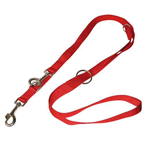 Pet Tribe Leine Nylon rot mit Karabiner, Breite 1,5 cm, Länge 120 cm von Pet Tribe