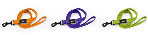 Pet Tribe PT58181 Hundeleine, Nylon, fluoreszierend, Violett von Pet Tribe