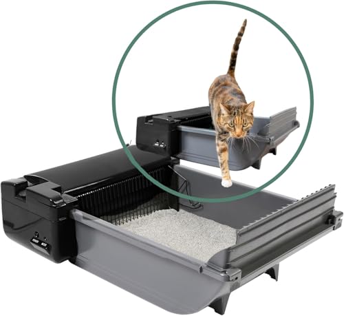 Pet Zone Smart Scoop Automatische Katzentoilette, halb selbstreinigende Katzentoilette für bis zu Zwei Katzen, 2,7–6,8 kg von Pet Zone