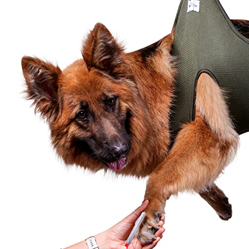 Hundepflege-Hängematte - Hängegeschirr für Nageltrimmen, Clipping - Haustierpflege Hängematte Sling - Hundehalter, Aufhänger, Festhaltetasche - Fellpflege-Hängematte für große Hunde (groß) von Pet a Friend