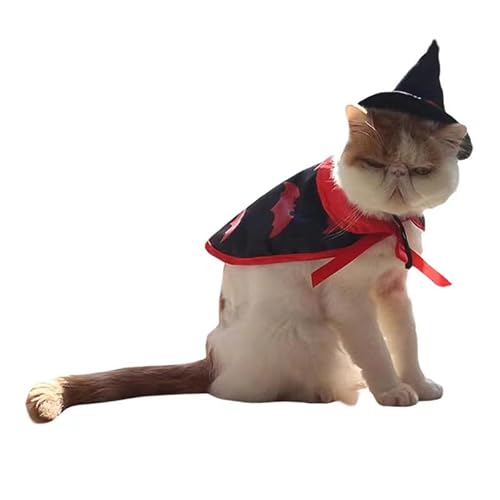 Halloween Katze Kostüm, Haustier Halloween Kostüm, Vampir Haustier Kostüm Umhang mit Schwarz Rot Zauberer Hut für Katzen und Welpen Halloween Party Cosplay von Pet's Wyndell