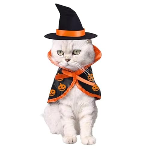 Halloween Katze Kostüme, Haustier Halloween Kostüme, Kürbis Hexe Umhang Hexe Umhang Zauberer Hut Katze Zauberer Kostüm für Katzen und Welpen Halloween Party Cosplay (#1) von Pet's Wyndell