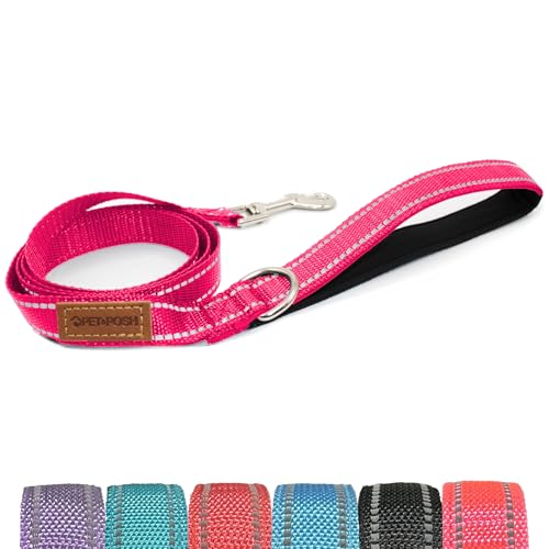 Pet & Posh Reflektierende Hundeleine, Premium-Neopren-gepolsterte Leine, verstellbares und atmungsaktives Nylon für Sicherheit und Stil (Hot Pink, 1,5 m schmal) von Pet & Posh