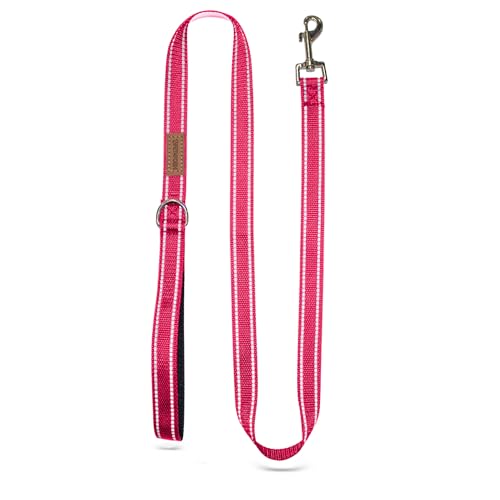 Pet & Posh Reflektierende Hundeleine – Premium-Neopren-gepolsterte Leine, verstellbares und atmungsaktives Nylon für Sicherheit und Stil (Hot Pink, 1,2 m Standard) von Pet & Posh