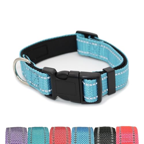 Pet & Posh Reflektierendes Hundehalsband, hochwertiges Neopren, gepolstertes Halsband, verstellbares und atmungsaktives Nylon für Sicherheit und Stil, Himmelblau, Größe L von Pet & Posh