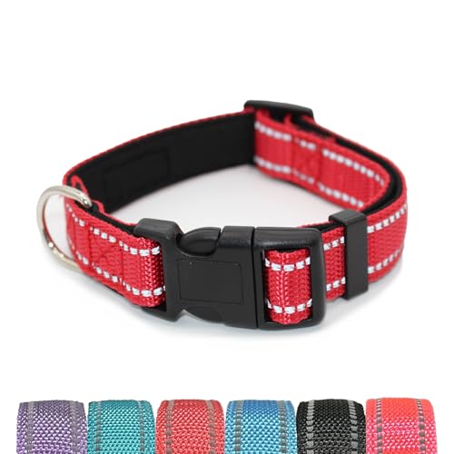 Pet & Posh Reflektierendes Hundehalsband, hochwertiges Neopren, gepolstertes Halsband, verstellbares und atmungsaktives Nylon für Sicherheit und Stil, Rot, Größe L von Pet & Posh