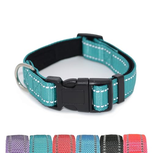 Pet & Posh Reflektierendes Hundehalsband, hochwertiges Neopren, gepolstertes Halsband, verstellbares und atmungsaktives Nylon für Sicherheit und Stil (Blaugrün, L) von Pet & Posh