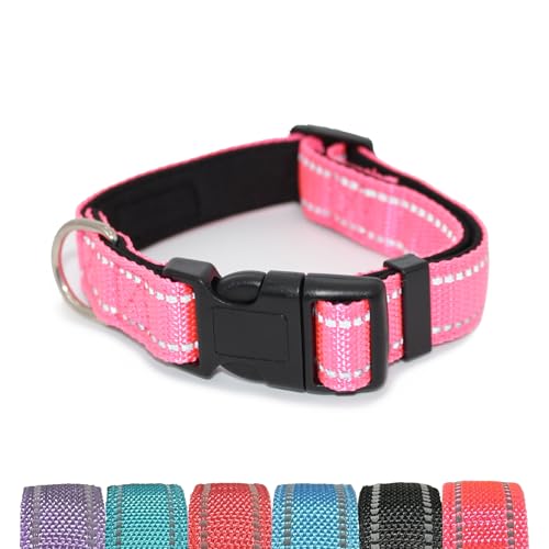 Pet & Posh Reflektierendes Hundehalsband, hochwertiges Neopren, gepolstertes Halsband, verstellbares und atmungsaktives Nylon für Sicherheit und Stil (Hot Pink, L) von Pet & Posh