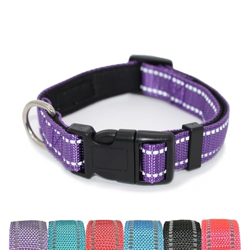 Pet & Posh Reflektierendes Hundehalsband, hochwertiges Neopren, gepolstertes Halsband, verstellbares und atmungsaktives Nylon für Sicherheit und Stil (Lila, XL) von Pet & Posh