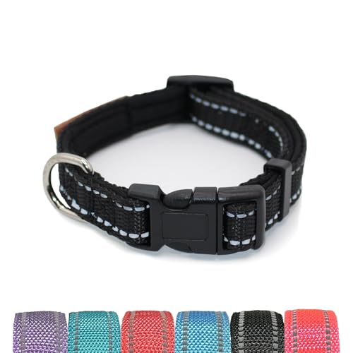 Pet & Posh Reflektierendes Hundehalsband, hochwertiges Neopren, gepolstertes Halsband, verstellbares und atmungsaktives Nylon für Sicherheit und Stil (Schwarz, Größe L) von Pet & Posh