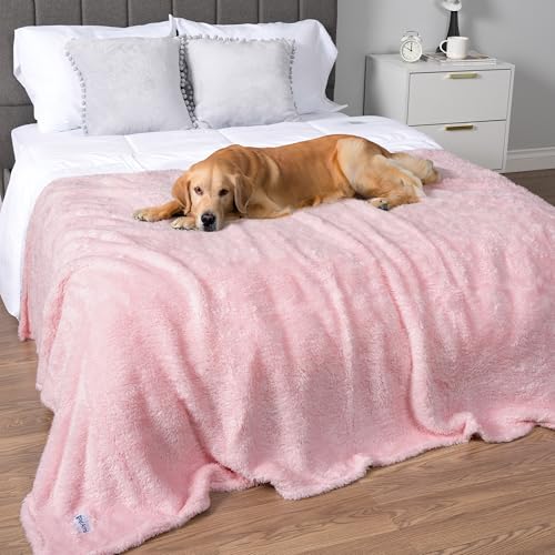 PetAmi Flauschige wasserdichte Hundedecke Fleece | Weiches, warmes Haustier-Fleece-Überwurf für große Hunde und Katzen | Fuzzy Furry Plüsch Sherpa Überwurf Möbelschutz Sofa Couch Queenbett (Rosa Rouge, 90 x 90) von PetAmi