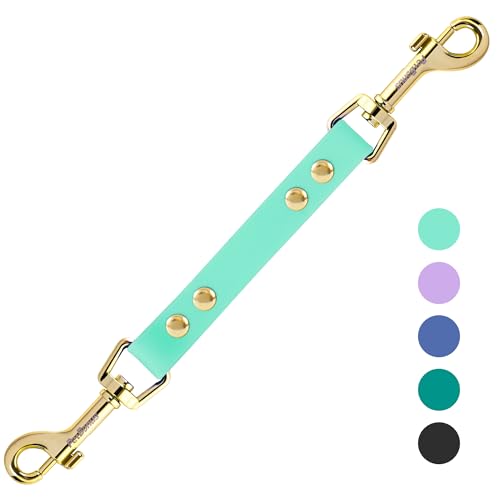 PetBonus Hundehalsband Clips, Wetterfeste Sicherungsband für Hundegeschirr, Robuste doppelendiger Leinenverbinder (Mintgrün) von PetBonus