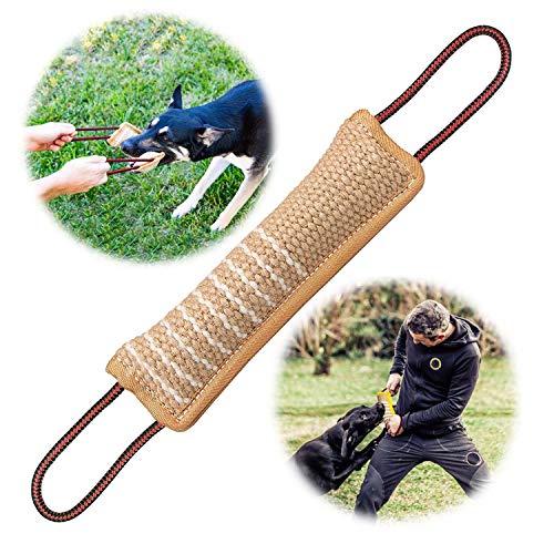 BOW CALICO Beisswurst für Hunde, Jute Beisswurst, Sehr Robustes Hundespielzeug, zum Hunde Training, Tauziehen und Zerrspiele mit Hund, 30 cm, mit Zwei Schlaufen von BOW CALICO