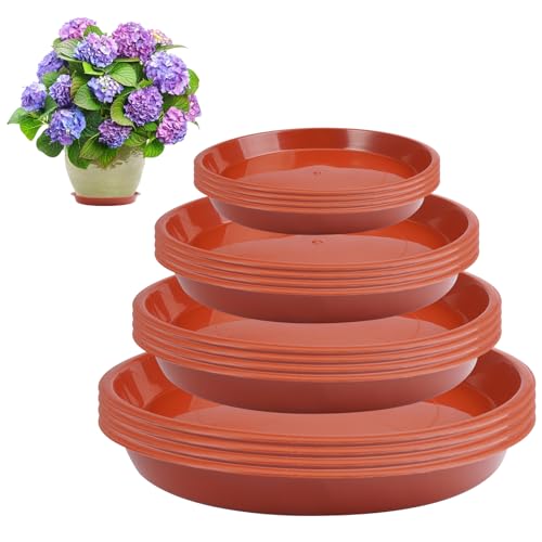 16 Stück Blumentopf Untersetzer, Pflanzenuntersetzer Rund, 12/16/18/20 cm Pflanzen Untersetzer, Kunststoff Rund Blumen Untersetzer, Pflanze Untersetzer Topf Drainage Tray für Innen- und Außenpflanzen von PetGlimmer