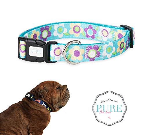 PetLove Hundehalsband - gepolstert und verstellbar aus Nylon - in Türkis, Größe M (1,5 x 30-40cm) - Halsband für mittlere Hunde und Welpen von PetLove