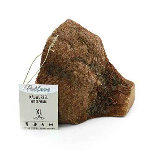 PetLove Kauwurzel für Hunde mit Olivenöl • 100% natürliches Kauholz • Kauknochen mit Mineralien • Kauspielzeug Hund • Größe: XL (751-1000g) • Für große Hunde von PetLove