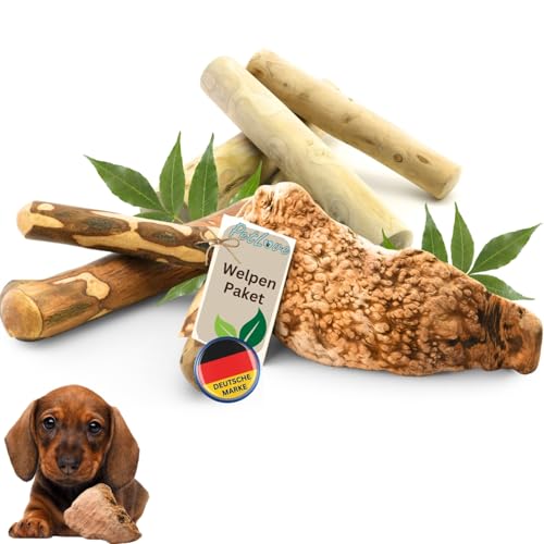 PetLove Welpenspielzeug Set 3 Kauhölzer für Hunde: Kaffeeholz, Olivenholz & Kauwurzel - Kauknochen Welpen Zubehör Hundespielzeug für kleine Hunde Beschäftigung Hund Robustes Kauspielzeug Hund von PetLove