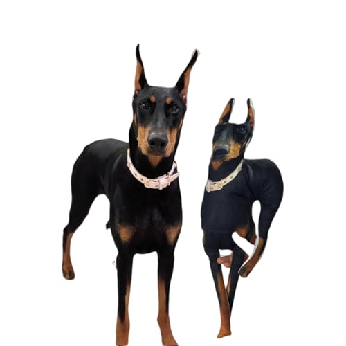 Hässliches Katzenkissen – personalisiertes hässliches Haustierkissen, personalisiertes Haustierkissen, 3D-Form, Haustierliebhaber-Geschenk, Hundekissen von PetLuv Oases